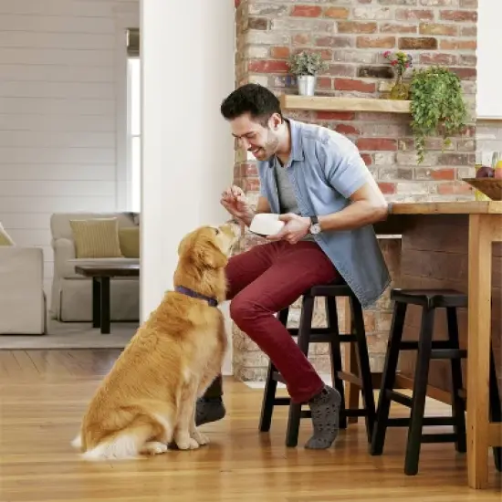 IAMS Proactive Health Chicken & Whole Grains Recipe Large Breed Adult Premium Dry Dog Food image {4}