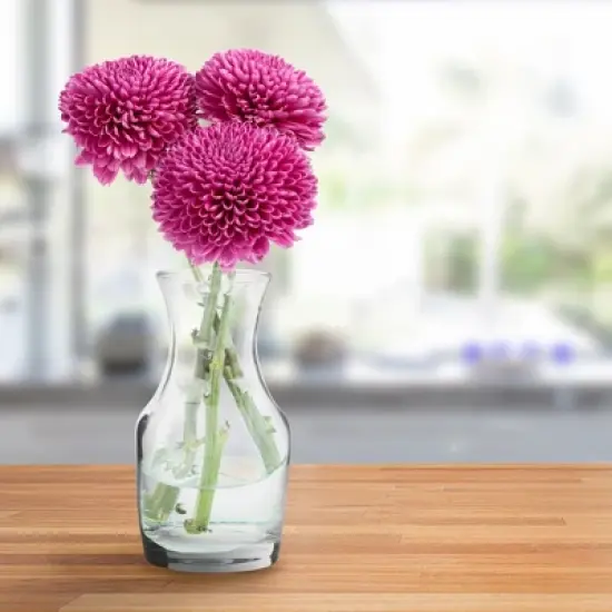 Cornucopia Brands Mini Individual Wine Carafes 6pk; 6.5oz Single-Serving Personal Size Decanters image {5}