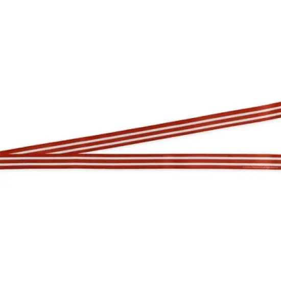 Saved By The Bell Lanyard Bayside High Zack Morris Breakaway ID Badge Holder Keychain Red image {4}