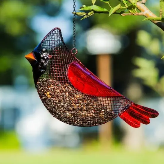 Evergreen Garden Cardinal Mesh Bird Feeder image {5}