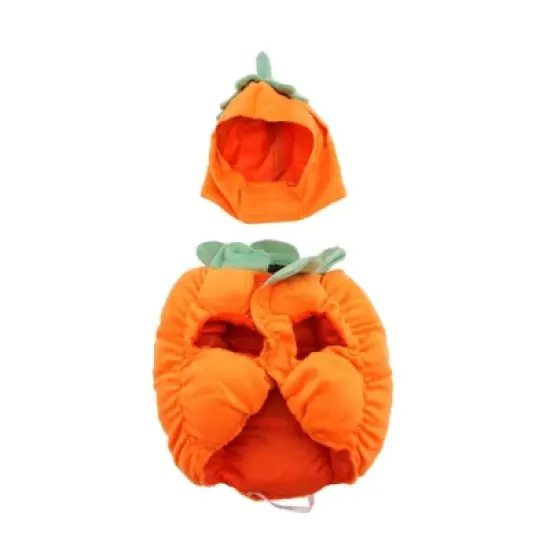 Zack & Zoey Pumpkin Pooch Dog Costume image {2}