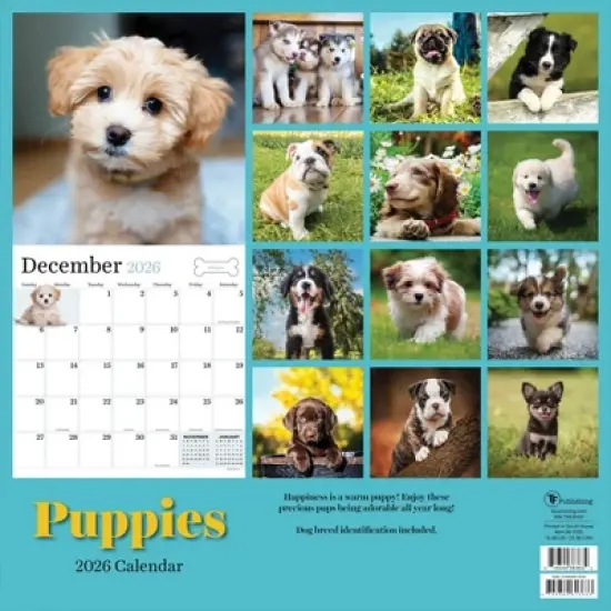 TF Publishing 13.5"x14.5" 2026 Puppies Wall Calendar image {4}