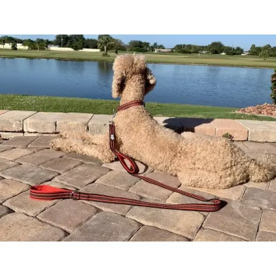 Black Rhino Dog Leash 5ft Long Double Handle w/ Reflective Lead - Aqua image {3}