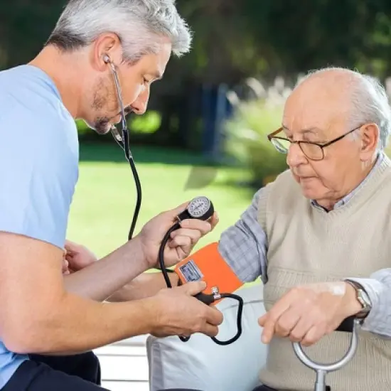 Manual Blood Pressure Kit image {10}