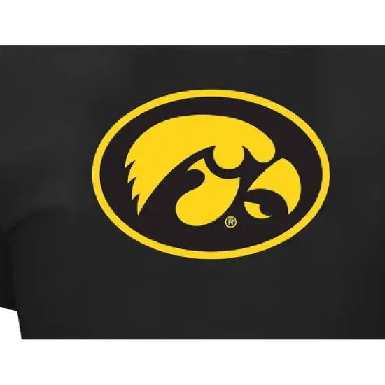 NCAA Iowa Hawkeyes Men's Big and Tall Logo Short Sleeve T-Shirt image {2}