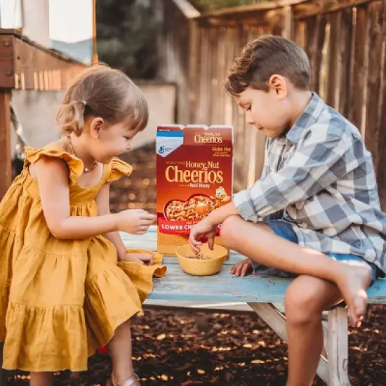 Cheerios Breakfast Cereal image {11}