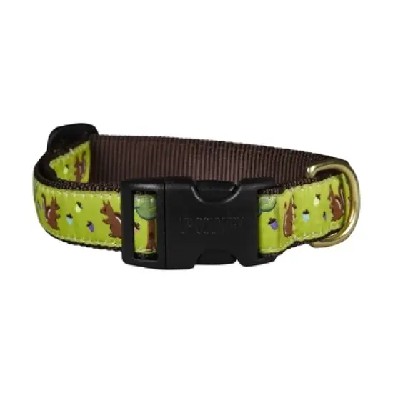 Up Country Nuts Dog Collar - Medium image {1}