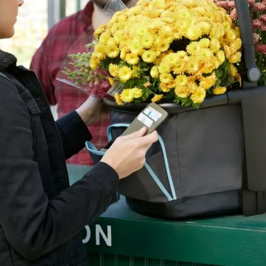 Evenflo Pivot Xpand Market Basket - Gray Skye image {19}