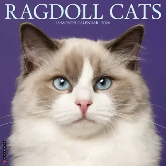 Willow Creek Press 12"x12" 2026 Ragdoll Cats Wall Calendar image {5}