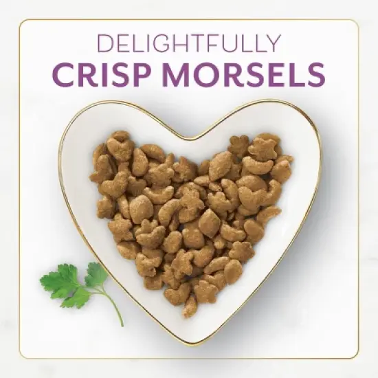 Purina Fancy Feast with Chicken & Turkey Adult Gourmet Dry Cat Food - 48oz image {2}