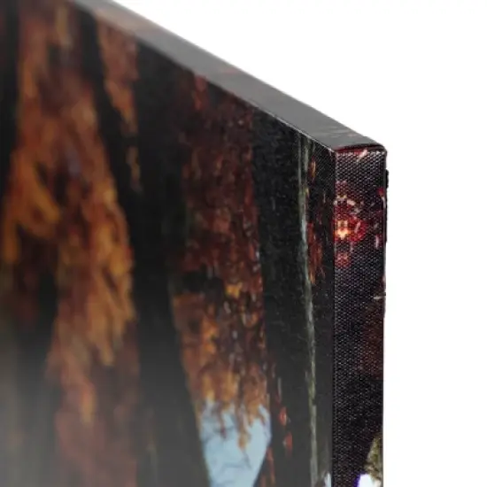 Northlight LED Lighted Fall Tree Archway with Lanterns Canvas Wall Art 23.5" x 15.5" image {1}