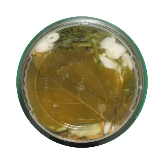 Grillo's Pickles Hot Dill Pickle Spears - 32 fl oz image {4}