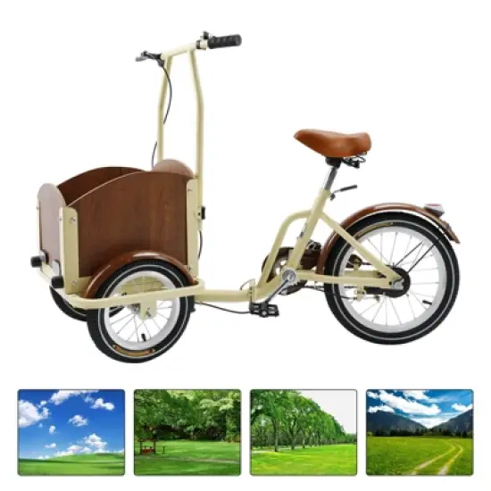 Topteng Cargo Bike, Three-Wheel Bicycle image {2}