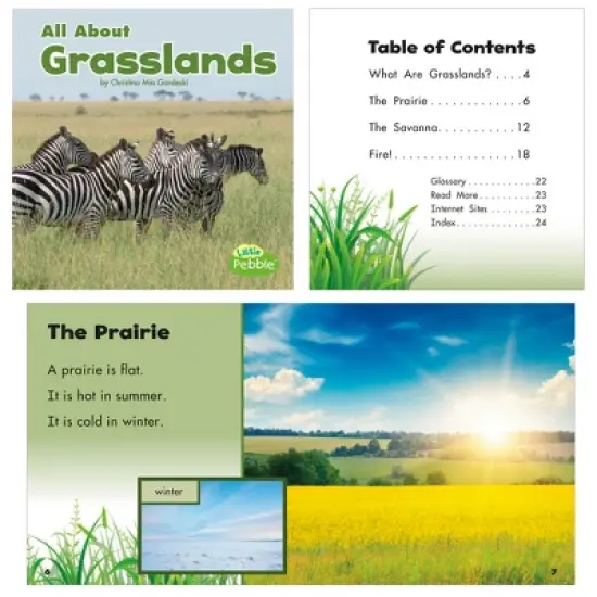 Little Pebble Habitats Book Set, Set of 8 image {3}