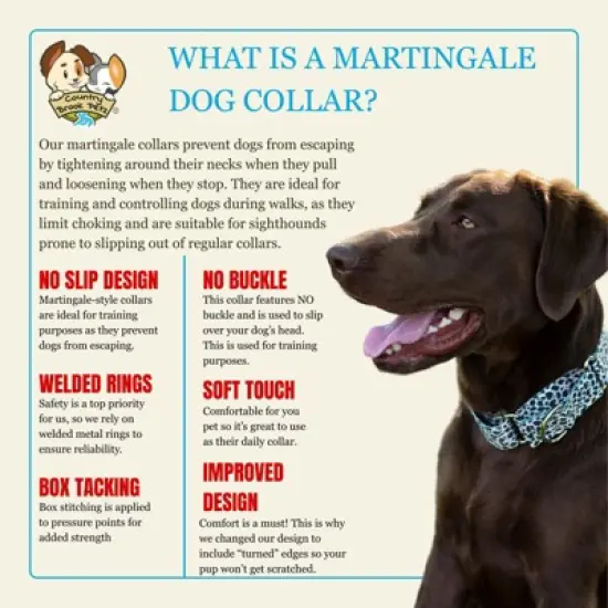 Country Brook Petz HossFit Jr Wide Martingale Dog Collar - Animal Print Collection image {5}