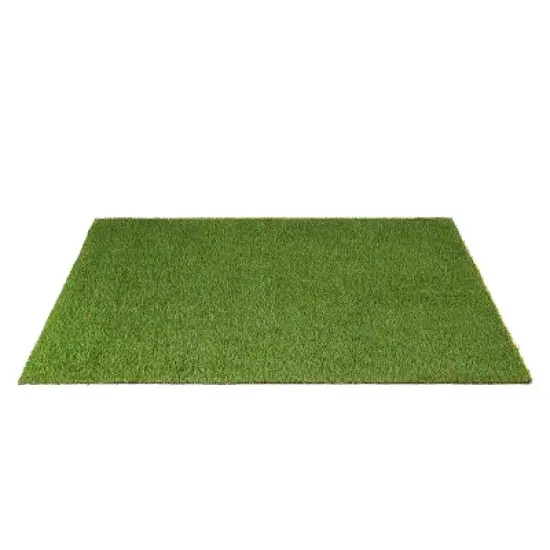Artificial Grass Synthetic Lawn Indoor/ Outdoor Turf Area Rug by Blue Nile Mills image {2}