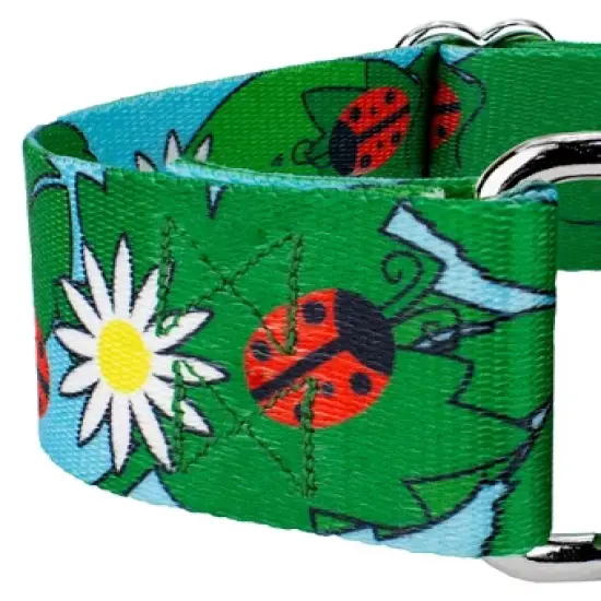 Country Brook Petz 1 1/2 Inch Ladybug Picnic Martingale Dog Collar image {3}