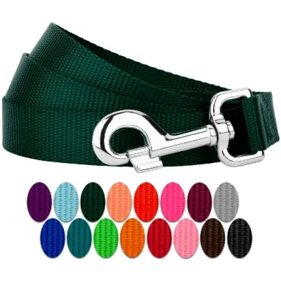 Country Brook Petz 6ft By 3/4 Inch Heavyduty Doublehandle Nylon Leash image {11}