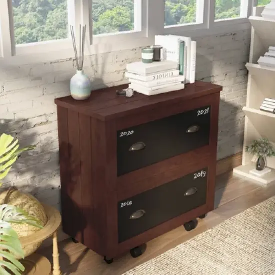 Garon Rustic 2 Drawer Filing Cabinet Walnut- miBasics image {1}