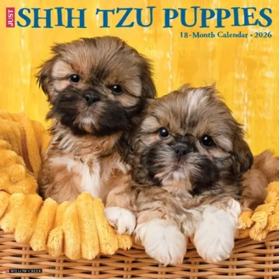 Willow Creek Press 2026 Shih Tzu Puppies Wall Calendar image {5}