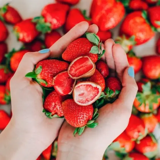 Tru Fru White and Milk Chocolate Frozen Strawberries - 8oz image {4}