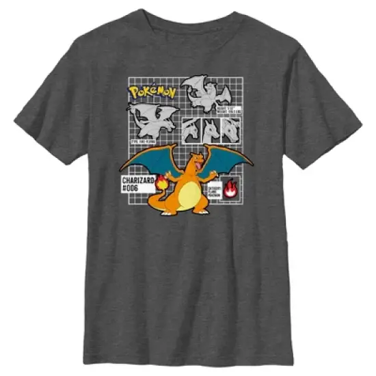 Boy's Pokemon Charizard Info Grid T-Shirt image {4}