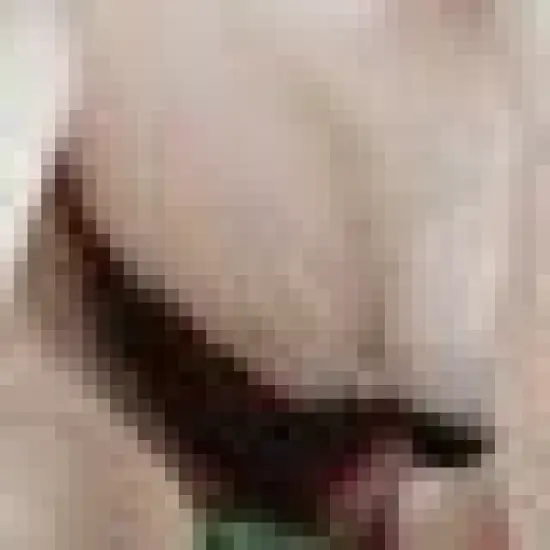 PoochPad Indoor Turf Dog Potty Classic for Dog - Small image {1}