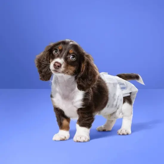 Dog Diapers - 18ct - up&up&trade; image {1}