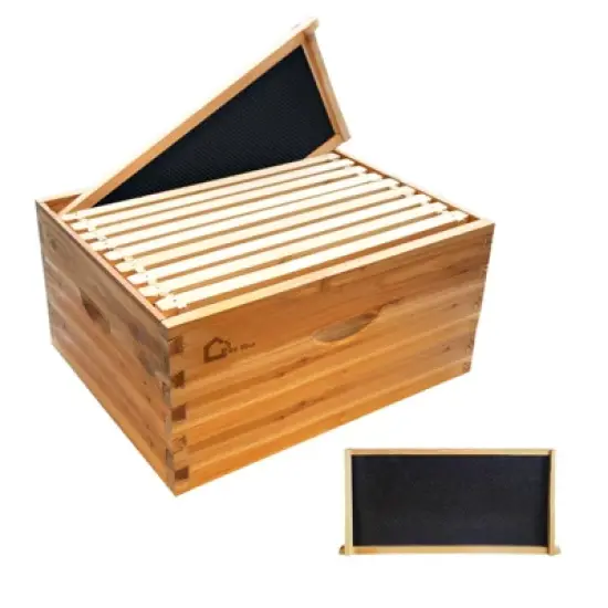 10-Frame Deep Brood Box, Wax Coated Bee Hives Deep Box W/Beehives Frames & Wax Foundations, Langstroth Hive Body Brood Box for Beekeeping Supplement image {8}