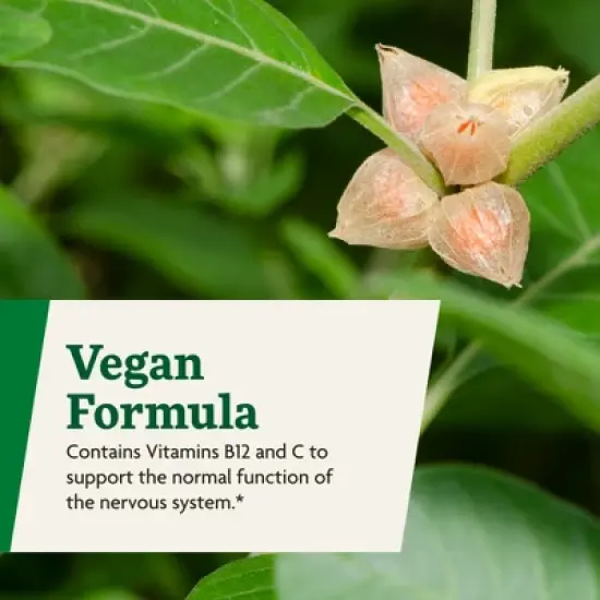 Floradix Ashwagandha Liquid Herbal & Vitamin Formula - Stress Support Formula - Vegan & Non-GMO - 8.5 fl oz image {5}