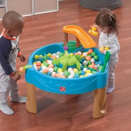 Step2 Duck Pond Water Table image {1}