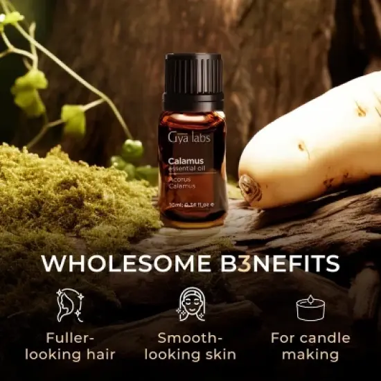 Calamus Essential Oil for Hair - 0.34 Fl Oz - Gya Labs Calamus Oil for Diffuser, Skin, Aromatherapy, Massages & Candle Making Scent image {4}