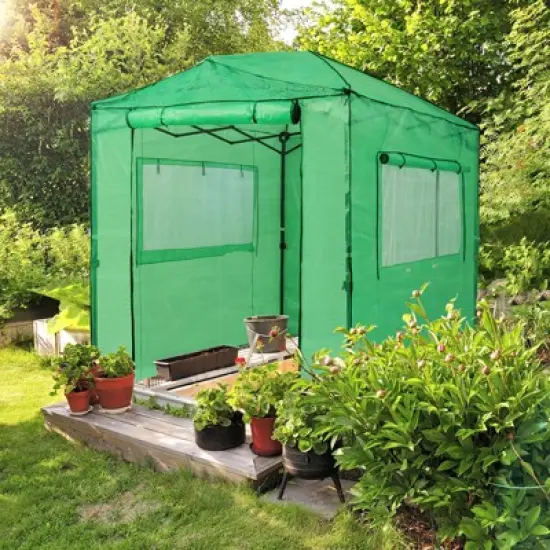 EAGLE PEAK 8'x6' Portable Walk-in Greenhouse with Zippered Doors and Windows image {7}
