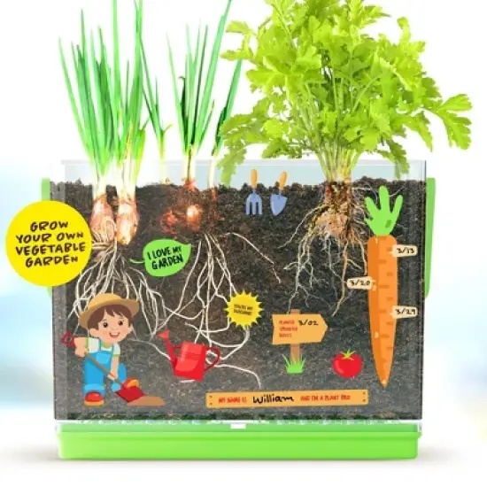 Dan&Darci Kids Root Viewer &ndash; Grow Your Own Vegetable Garden, Includes Seeds, Soil Discs, and Stickers, Educational Gift for Kids&ndash; Ages 6+ image {2}