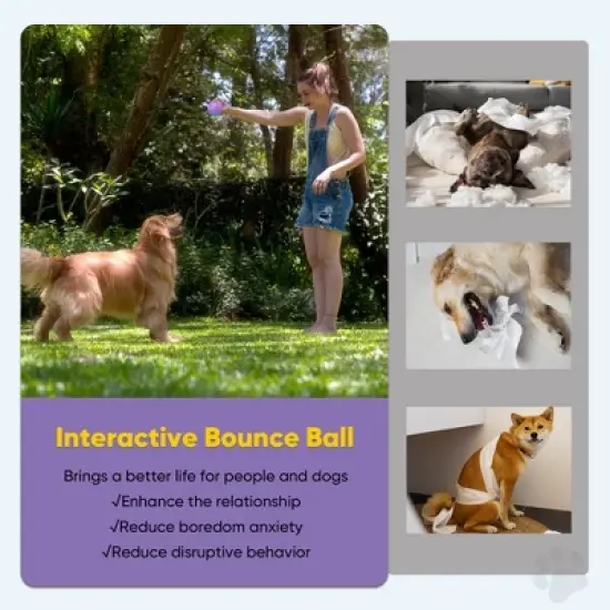 Petbobi Interactive Toy Dog Ball for Medium and Large Dogs, Active Rolling Ball for Dogs with LED Flash Light and USB Rechargeable, Purple image {5}