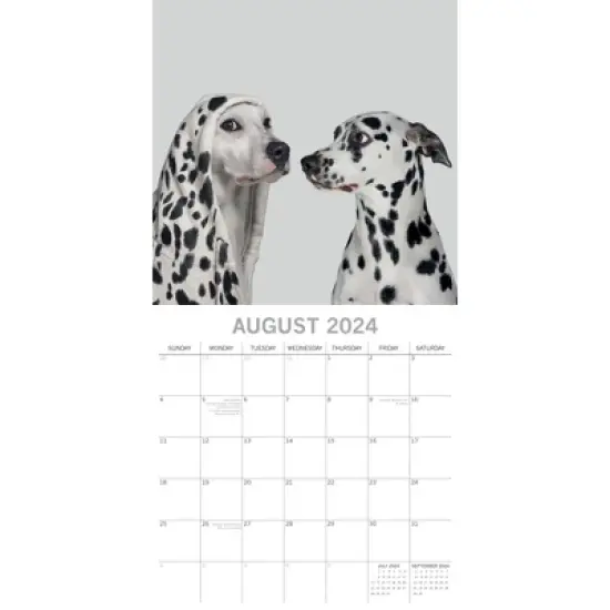 The Gifted Stationery 2024 Square Wall Calendar, Dogs as Animals, 16-Month Humor Theme with 180 Reminder Stickers (12 x 12 In) image {2}