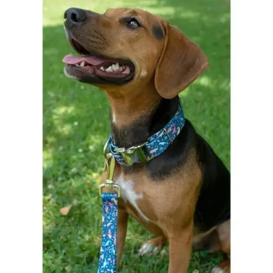 Country Brook Petz Premium Dog Collar and Leash - Critter Corner Collection image {1}