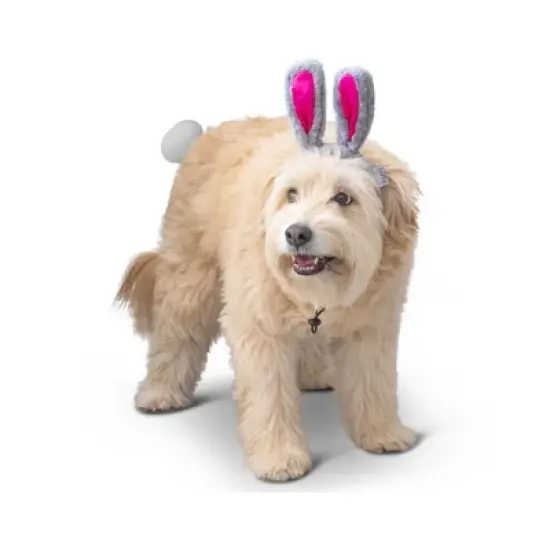 Midlee Easter Bunny Gray & Pink Dog Rabbit Ears with Tail (Small) image {4}
