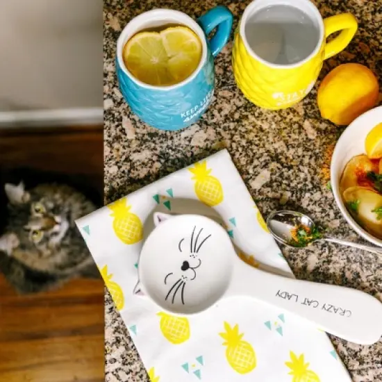 Pavilion Gift Company - Crazy Cat Lady - 10" Spoon Rest - Spoon Rests image {2}