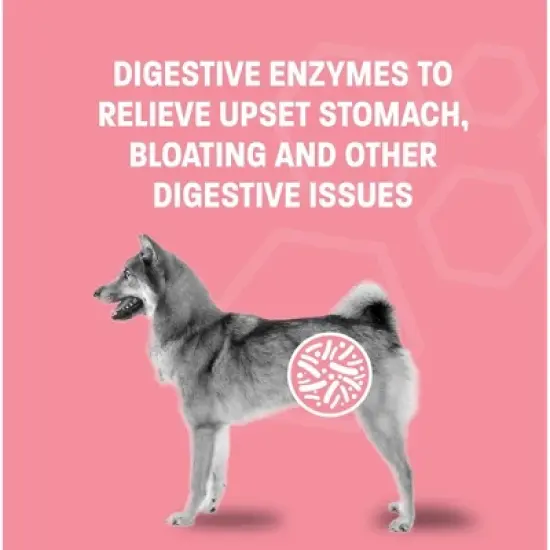 Pet Health Pros Diarrhea relief Probiotic Paste; Digestion Support, Gas Relief, Constipation Treatment; 30cc; Flavor Neutral image {2}