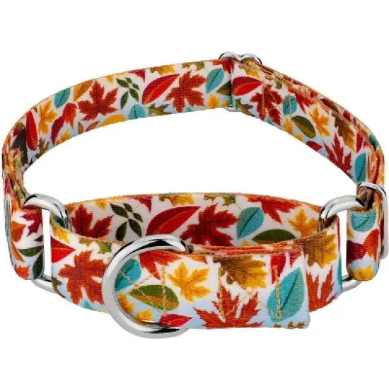 Country Brook Petz Brisk Autumn Martingale Dog Collar image {5}