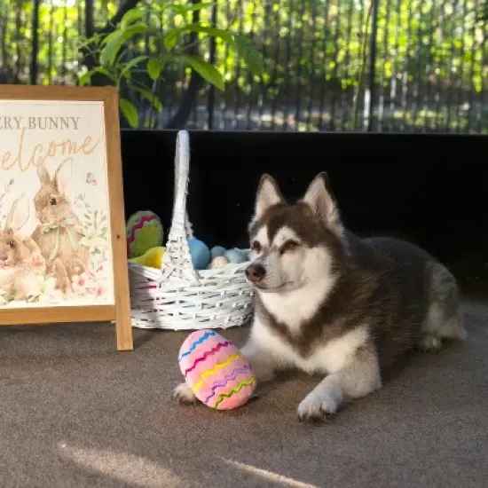 Midlee Easter Egg Plush Dog Toy - Pink image {5}