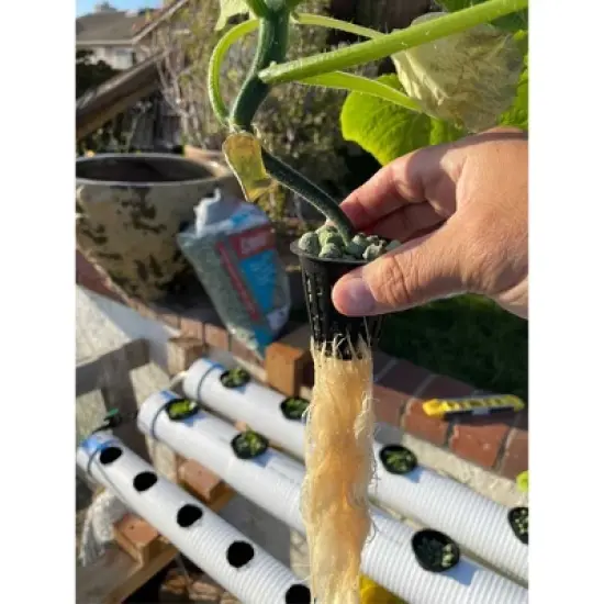 ARQLITE&nbsp;Smart Gravel Eco Friendly Plant Drainage for Healthy Roots image {2}