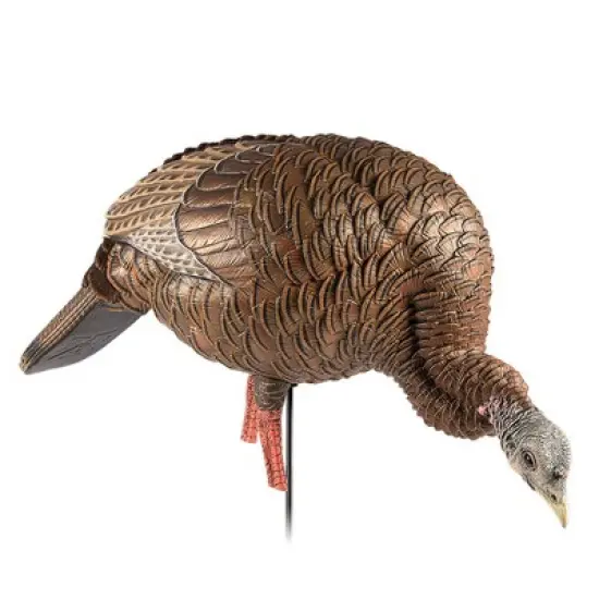 Avian X Heavy Duty Realism Feeding Hen Decoy image {2}