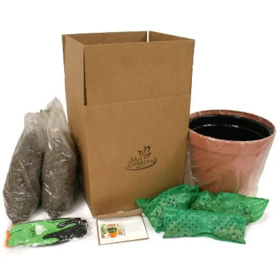 Van Zyverden 46ct Bulbs Multicolored Unison Spring Blooming Patio Planter Set image {5}