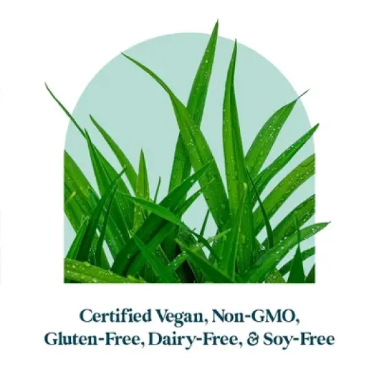 Pattern Wellness Collagen Peptides Powder - Chocolate Flavor (13.7 ounces) image {5}