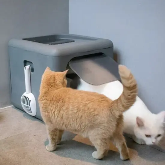 Extra Large Folding Pet Litter Box Portable Durable Cat Gray Litter Toilet Detachable Top Front Entry with Handy Scoop & Remove Tray image {10}