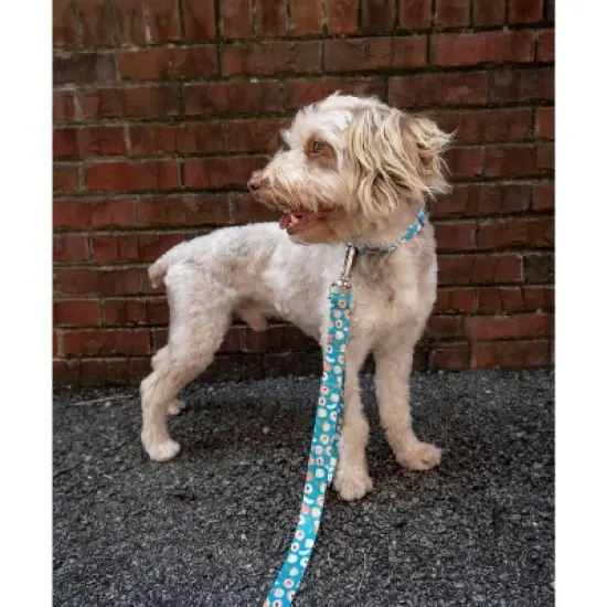 Country Brook Petz Premium Dog Collar - Tasty Collection image {1}