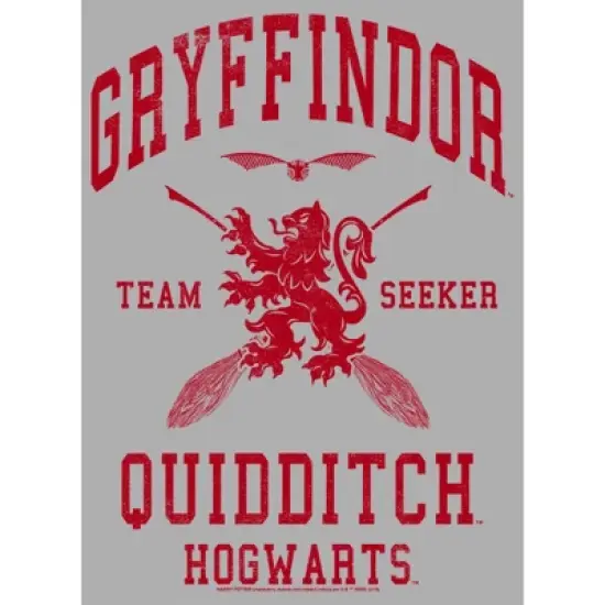 Boy's Harry Potter Gryffindor Quidditch Team Seeker T-Shirt image {1}