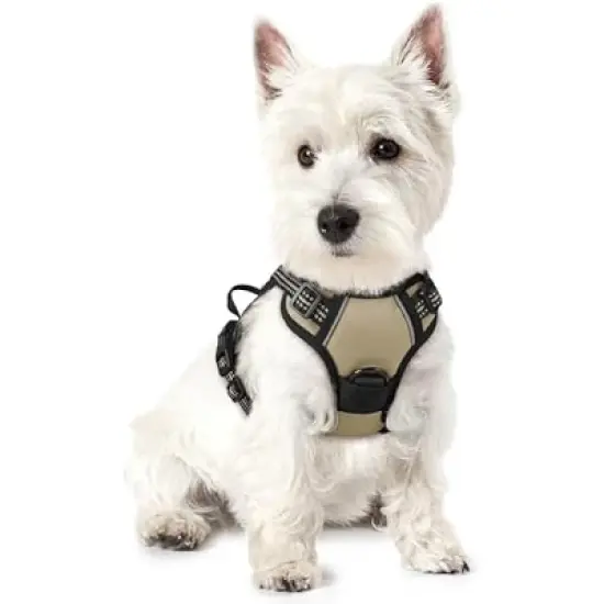 rabbitgoo Dog Harness No Pull with 2 Leash Clips, Control Handle for Puppy, Beige, XS image {1}